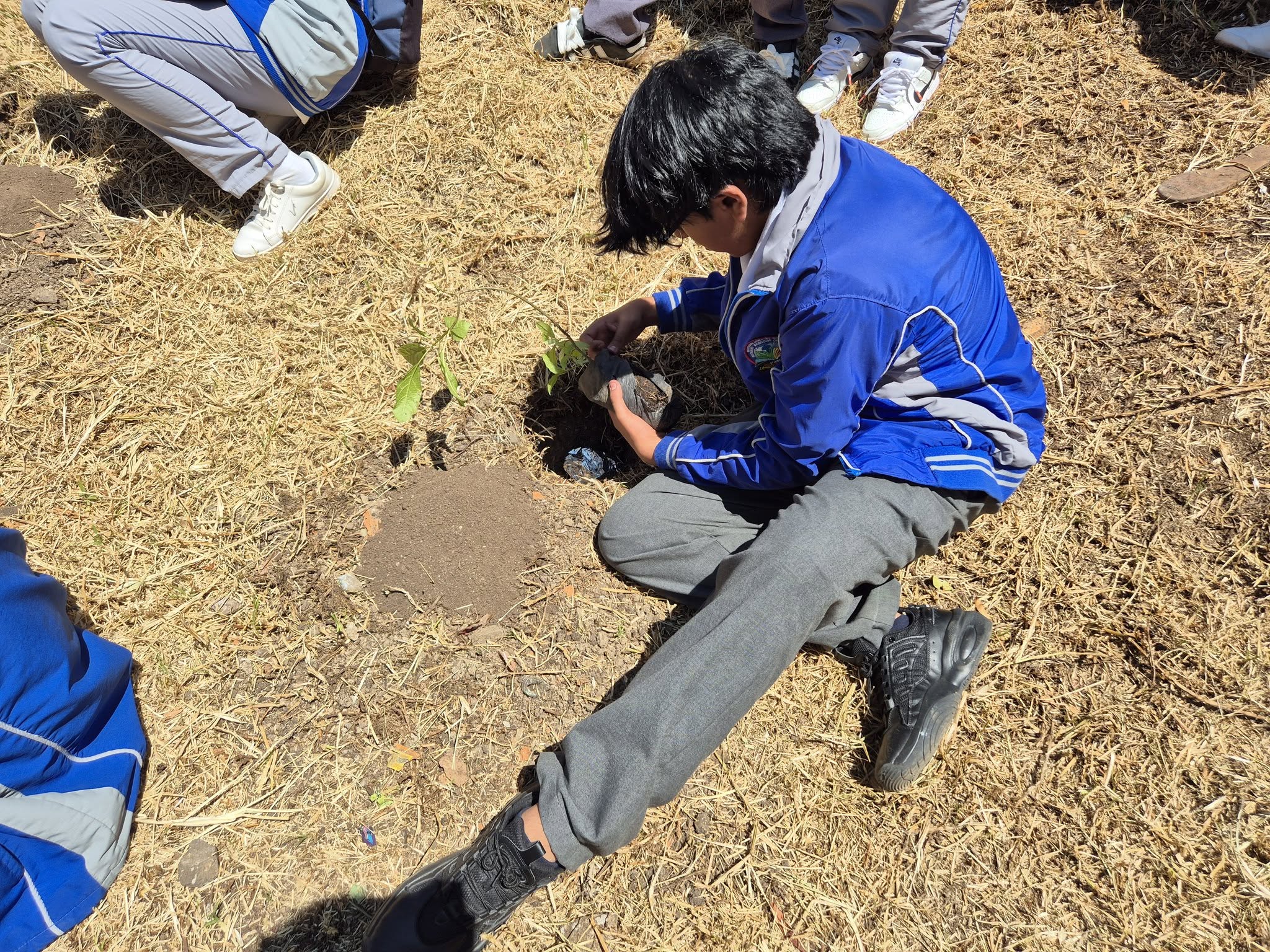 Proyecto Ambiental Escolar